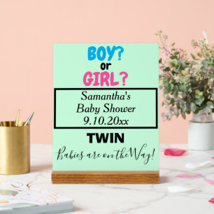 Zwillings-Babyparty Rosa Blau Mutter wird NAME Grü Acrylschild