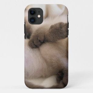 Zwillings-Haustier-Katzen-niedliches siamesisches Case-Mate iPhone Hülle