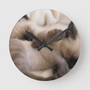 Zwillings-Haustier-Katzen-niedliches siamesisches Runde Wanduhr