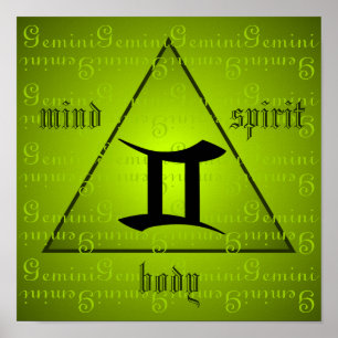 Zwillings-holistisches Poster