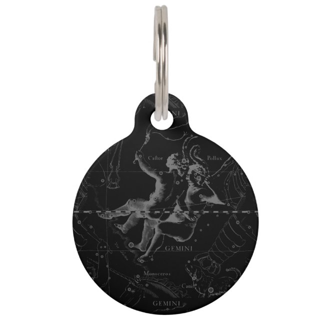 Zwillings-Konstellation durch Hevelius 1690 Tiermarke (Vorderseite)