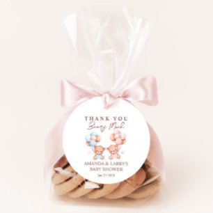 Zwillings-Teddybär-Babyparty für Mädchen und Junge Geschenkanhänger