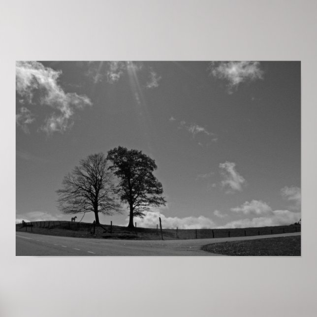 Zwillingsbäume Poster (Vorne)