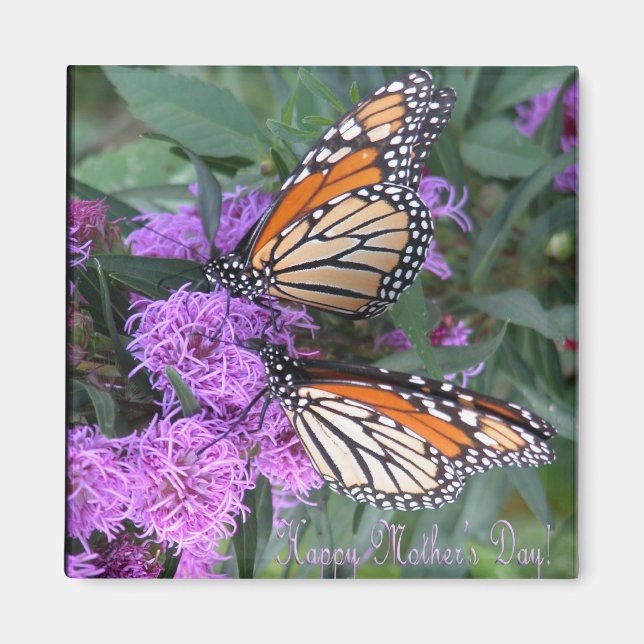 Zwillingsbutterfliegen/ Glücklicher Muttertag Magnet (Vorne)