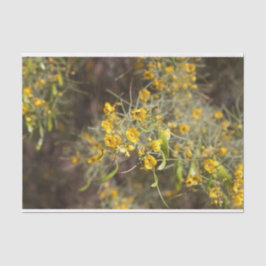 Zwirnpapier für gelbe Blumen Seidenpapier