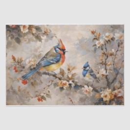Zwirnpapier für Vögel und Branchen Seidenpapier