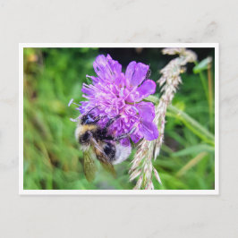 Zwischen Blüte & Brummen – Natur im Kleinformat Postkarte