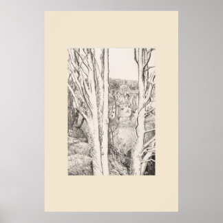 Zwischen den Bäumen Cornwall Eleanor Hughes Nachdr Poster