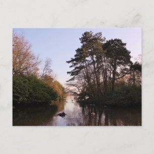 Zwischen den Inseln, Roath Park Lake, Cardiff. Postkarte