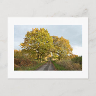 Zwischen den Oaks: Rural Cheshire Postkarte