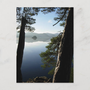 Zwischen den Pines in Keswick Postkarte