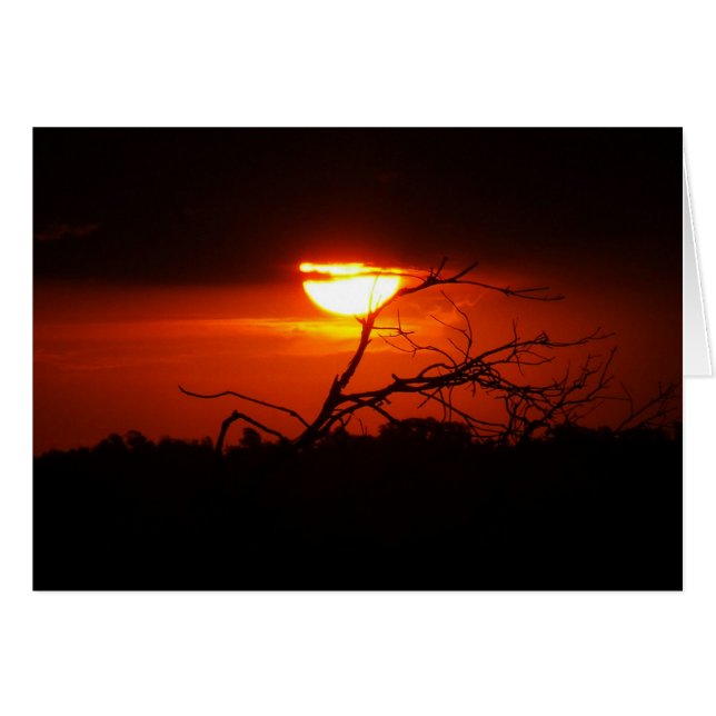 Zwischen der Dunkelheitskarte (Vorderseite (Horizontal))