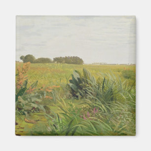 Zwischen Geest und Sumpf c.1880 Magnet