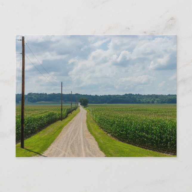 Zwischen Maisfeldern Postkarte (Vorderseite)
