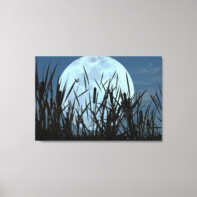 Zwischen Moon und Marsh Leinwand Print (Vorderseite)