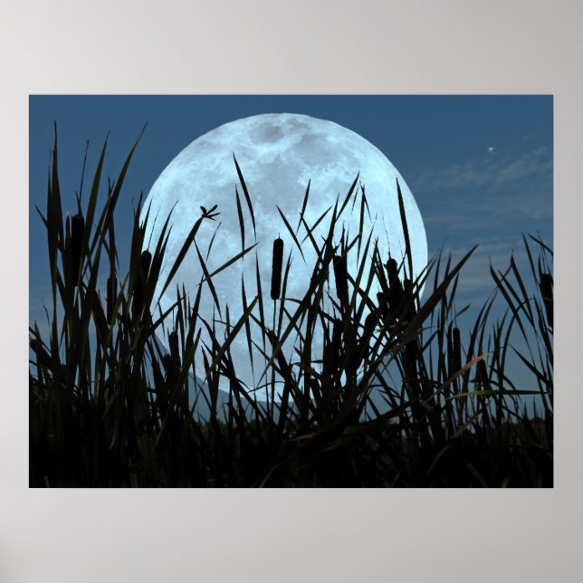 Zwischen Moon und Marsh Poster (Vorne)
