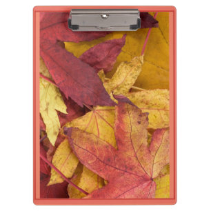 Zwischenablage für Herbstbereiche Klemmbrett