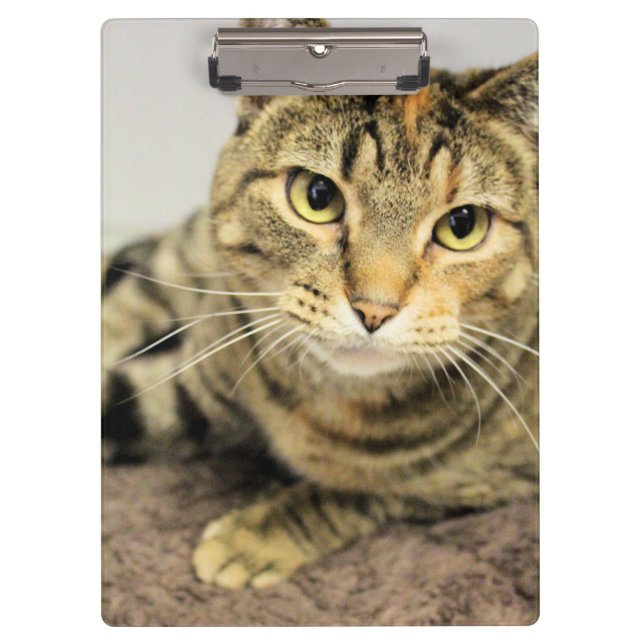 Zwischenablage Klemmbrett (Vorderseite)