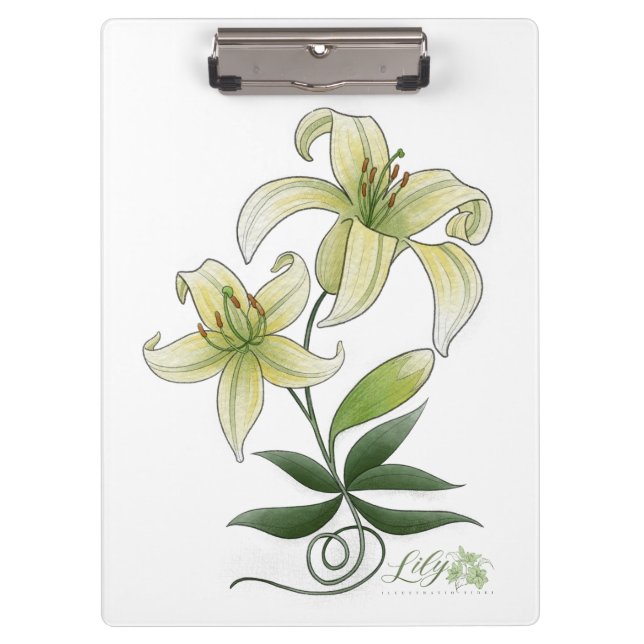 Zwischenablage Klemmbrett (Vorderseite)