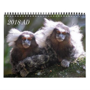 Zwölf Affen Kalender
