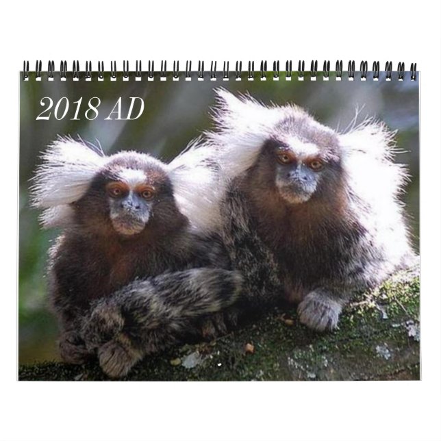 Zwölf Affen Kalender (Titelbild)