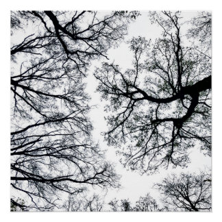 Zwollenaar-Fraktal Poster