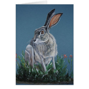 Zydeco Jack-Kaninchen