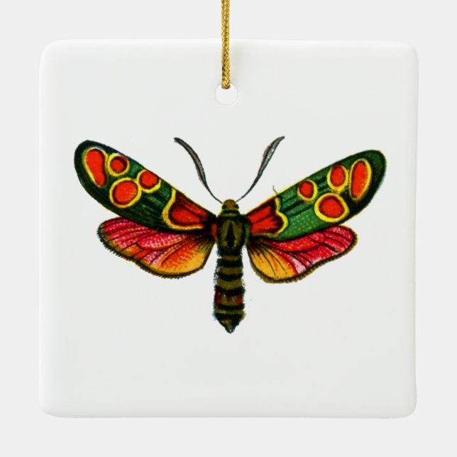 Zygaena carniolica - The Crepuscular Burnet Moth Keramikornament (Rückseite)
