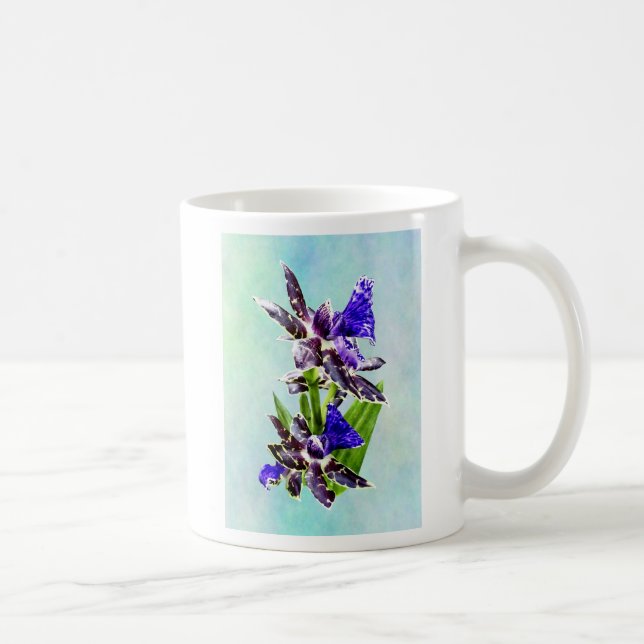Zygo Advance Australia HOF Tasse (Rechts)