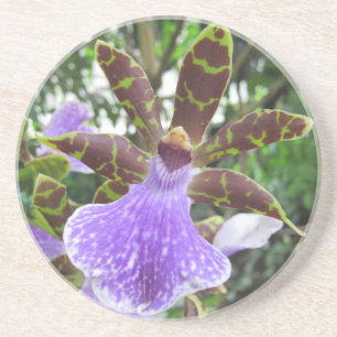Zygopetalum Orchideen-Untersetzer Getränkeuntersetzer