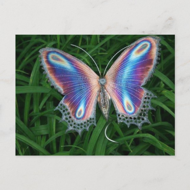 Zylinder Postkarte (Vorderseite)