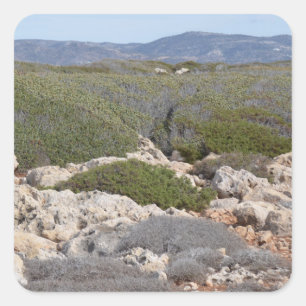 Zypern-Landschaftsaufkleber Quadratischer Aufkleber