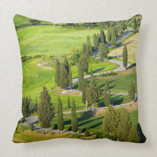 Zypresse zeichnete kurvenreiche Straße im Kissen