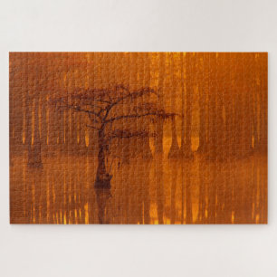 Zypressen   George Smith State Park Puzzle