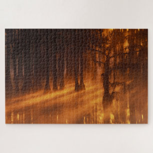 Zypressen George Smith State Park Puzzle