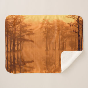 Zypressen George Smith State Park Sherpadecke