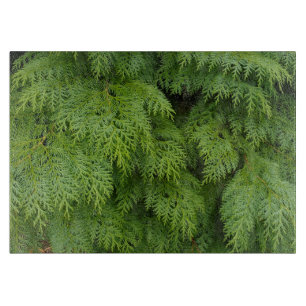 Zypressen Schneidebrett