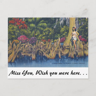 Zypressenknie Postkarte