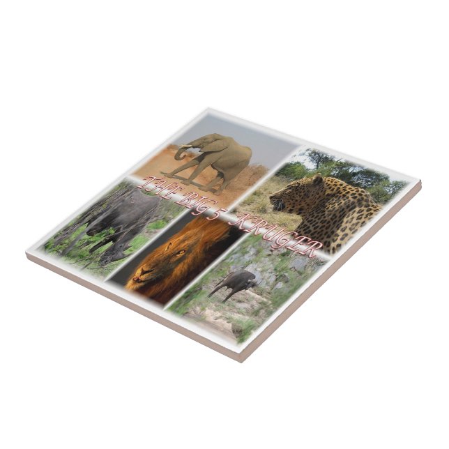 zZA027 SÜDAFRIKA, DER GROSSE 5 IN KRUGER NP Fliese (Seite)