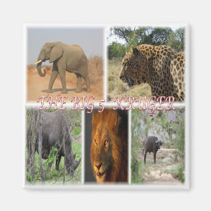 zZA027 SÜDAFRIKA, DIE BIG 5 IN KRUGER NP Kühlschra Magnet
