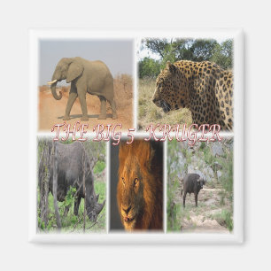 zZA035 SÜDAFRIKA Big 5 in Kruger N.P. Kühlschrank Magnet